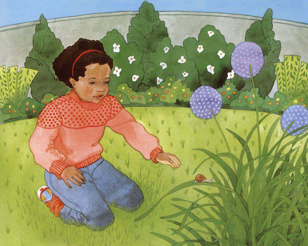 自然科学启蒙（第一辑）——谁住在壳里绘本故事第2页