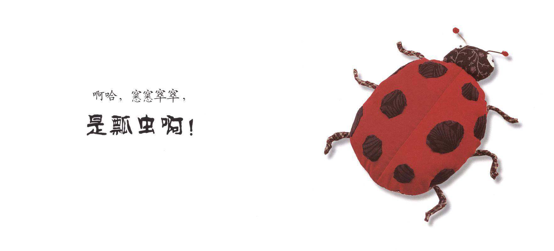 咦，这是什么绘本故事第3页