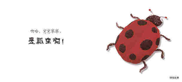 咦，这是什么绘本故事第3页