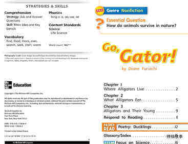 G1 Bey U4W3 Go, Gator!绘本故事第3页