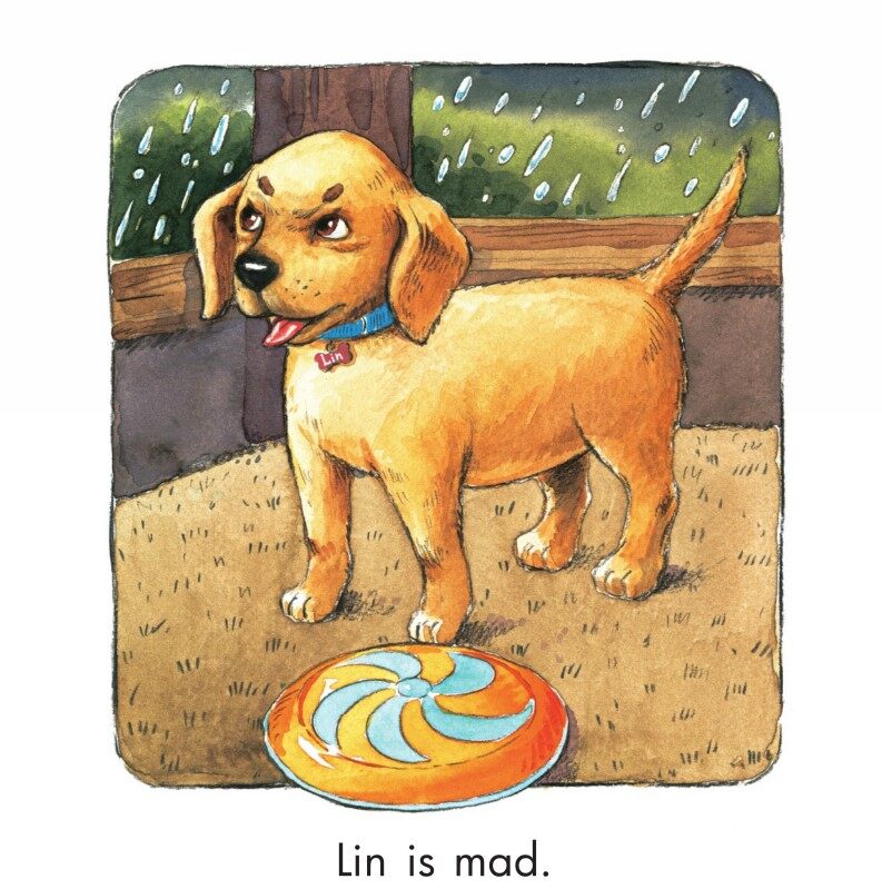 The Rainy Day绘本故事第5页