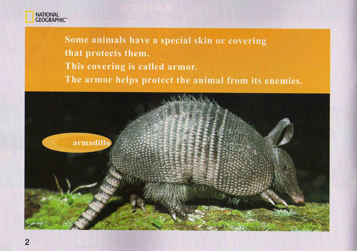 Animal Armor绘本故事第3页