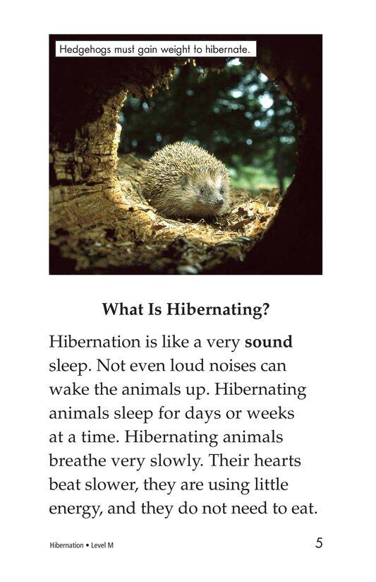 Hibernation绘本故事第4页