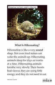 Hibernation绘本故事第4页