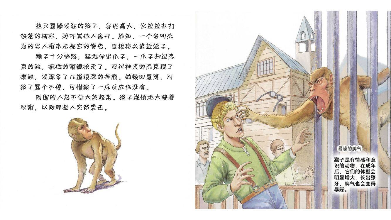 危险的母猴吉妮绘本故事第5页