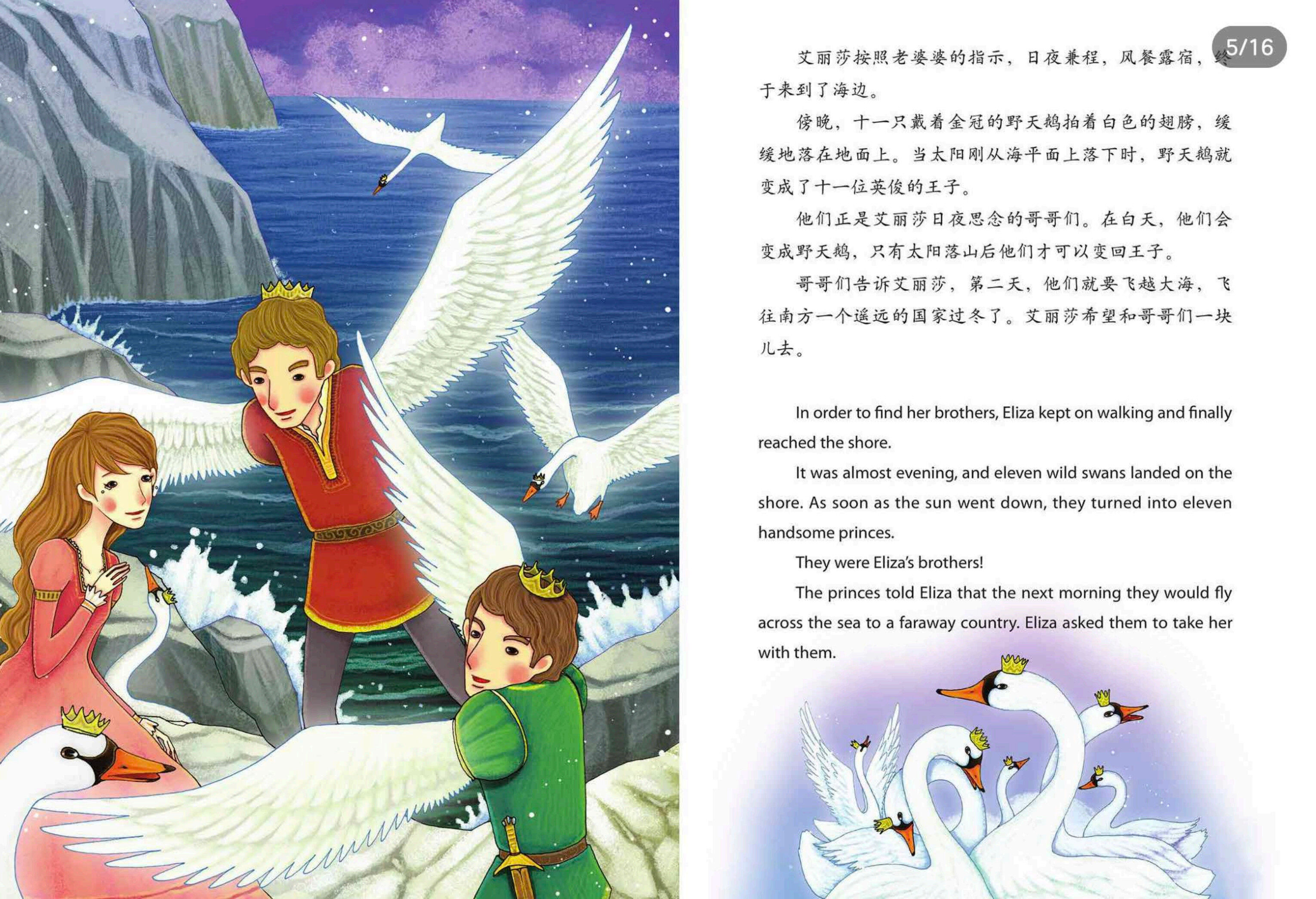 野天鹅绘本故事第5页