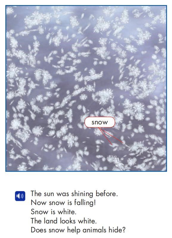 As White as Snow绘本故事第3页