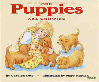 Our Puppies Are Growing绘本故事第2页