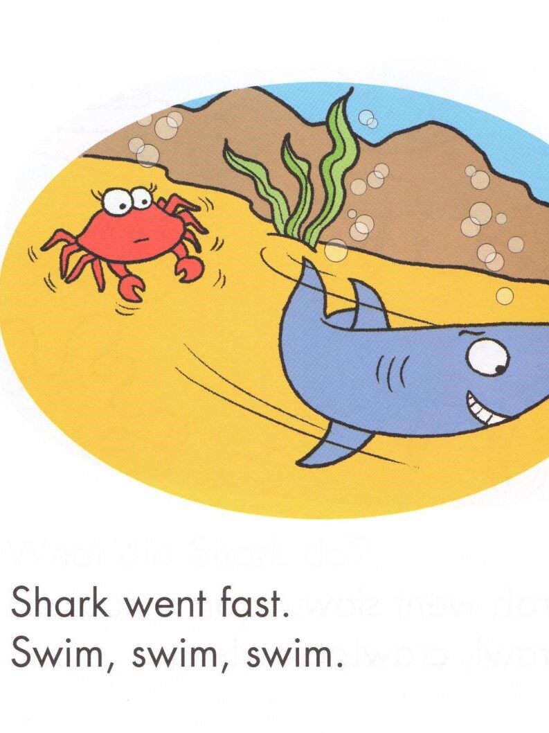 Shark and Crab绘本故事第3页