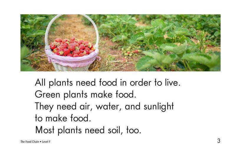 The Food Chain绘本故事第3页