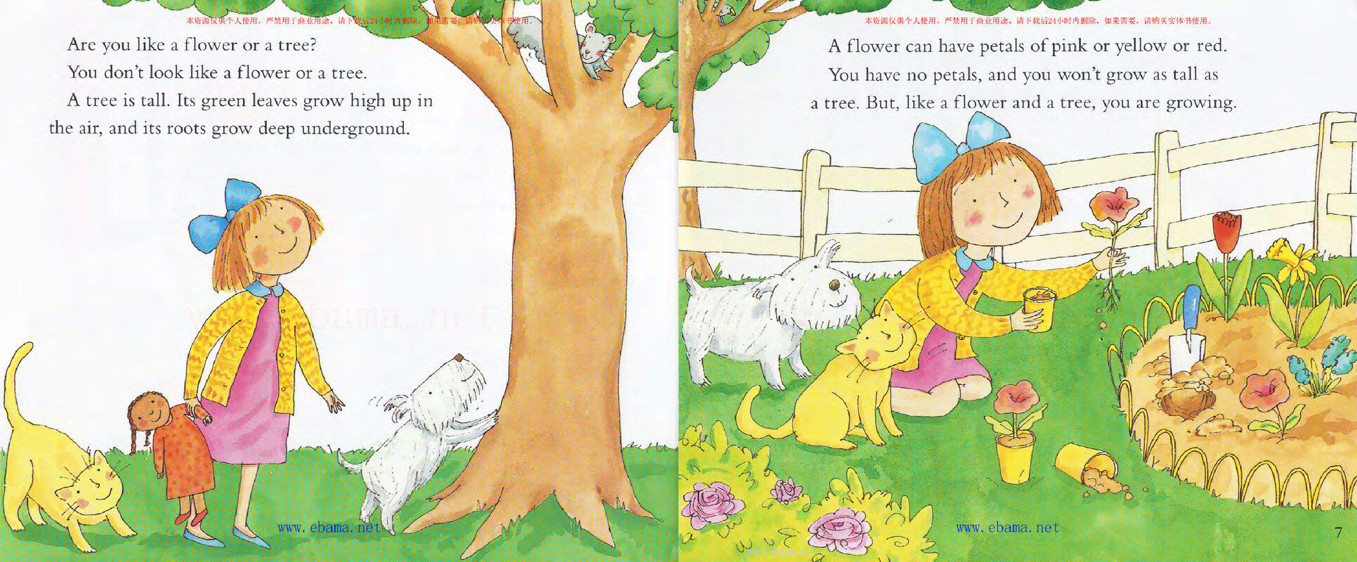 What is Alive绘本故事第4页