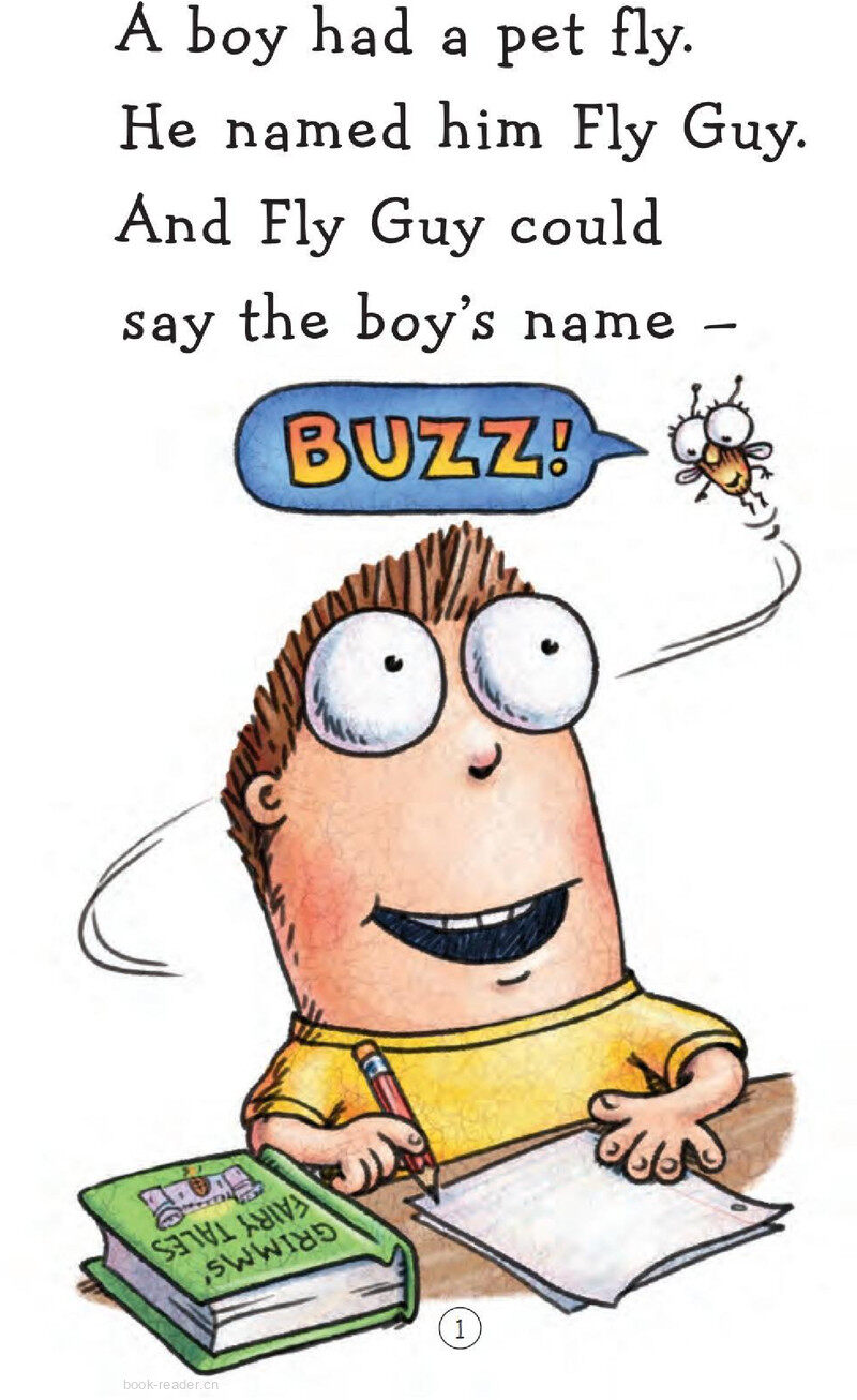 Prince Fly Guy绘本故事第3页