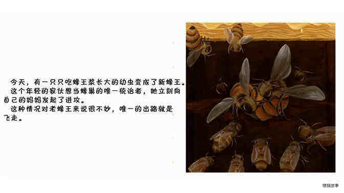 蜜蜂绘本故事第4页