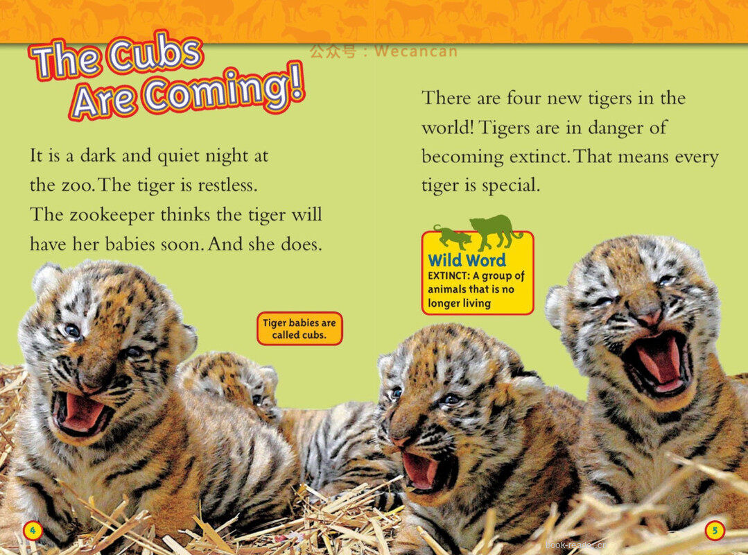 Saving Animal Babies绘本故事第3页