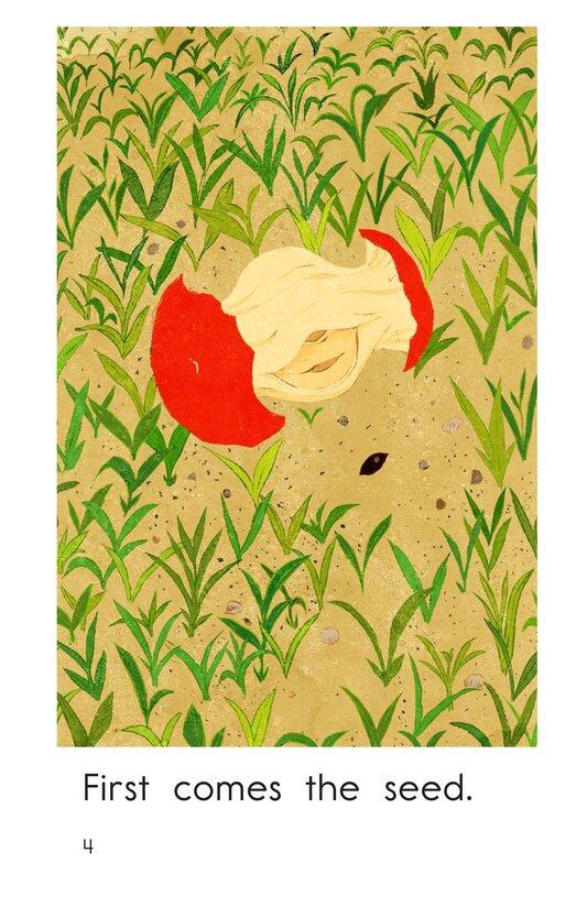 Apple Tree绘本故事第4页