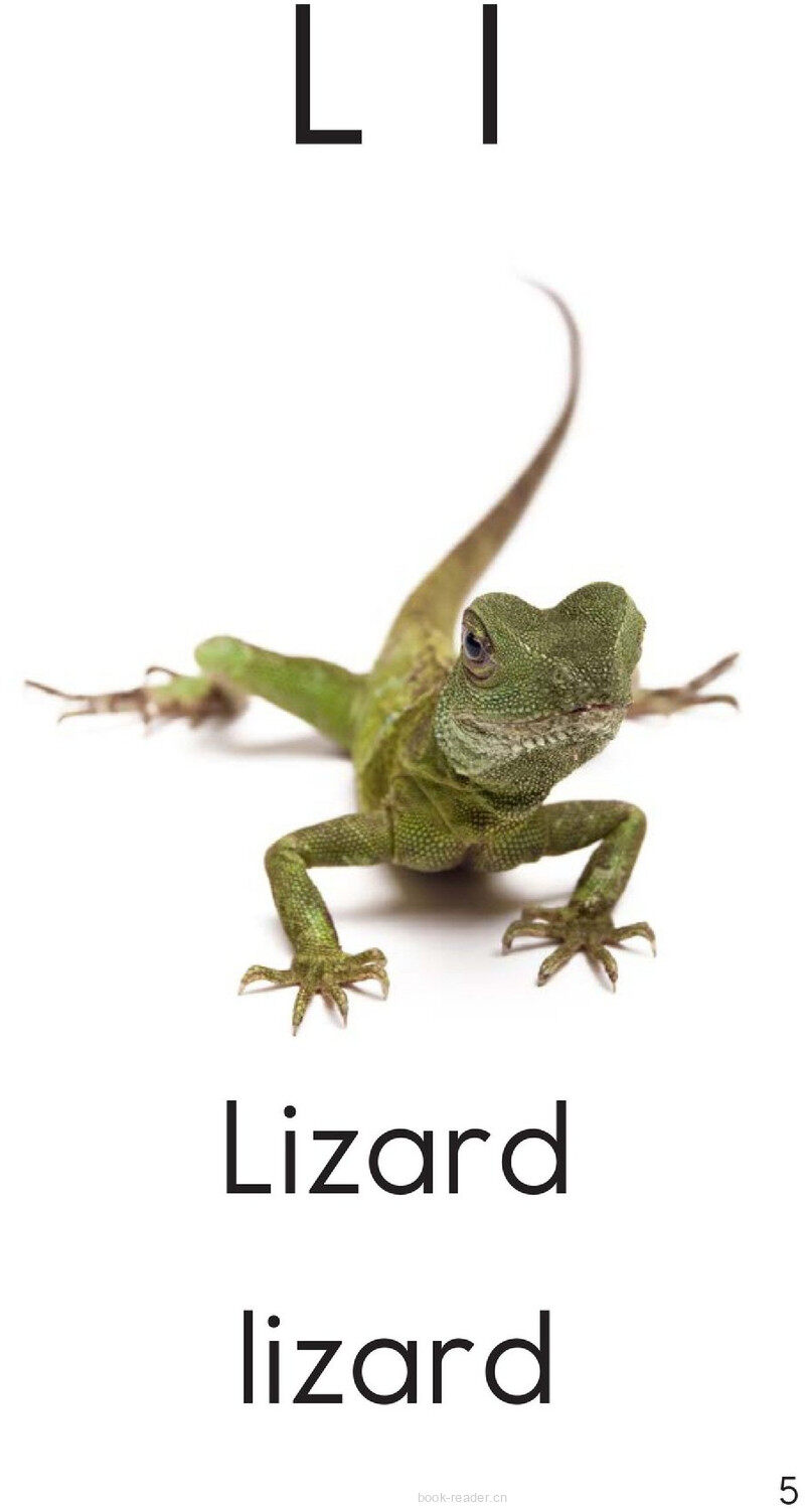 Letter L绘本故事第5页