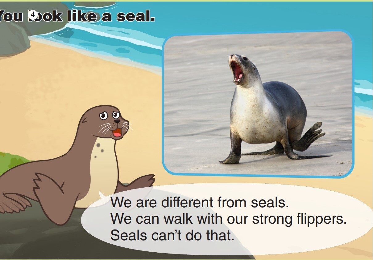 Sea Lion绘本故事第5页