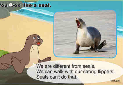 Sea Lion绘本故事第5页