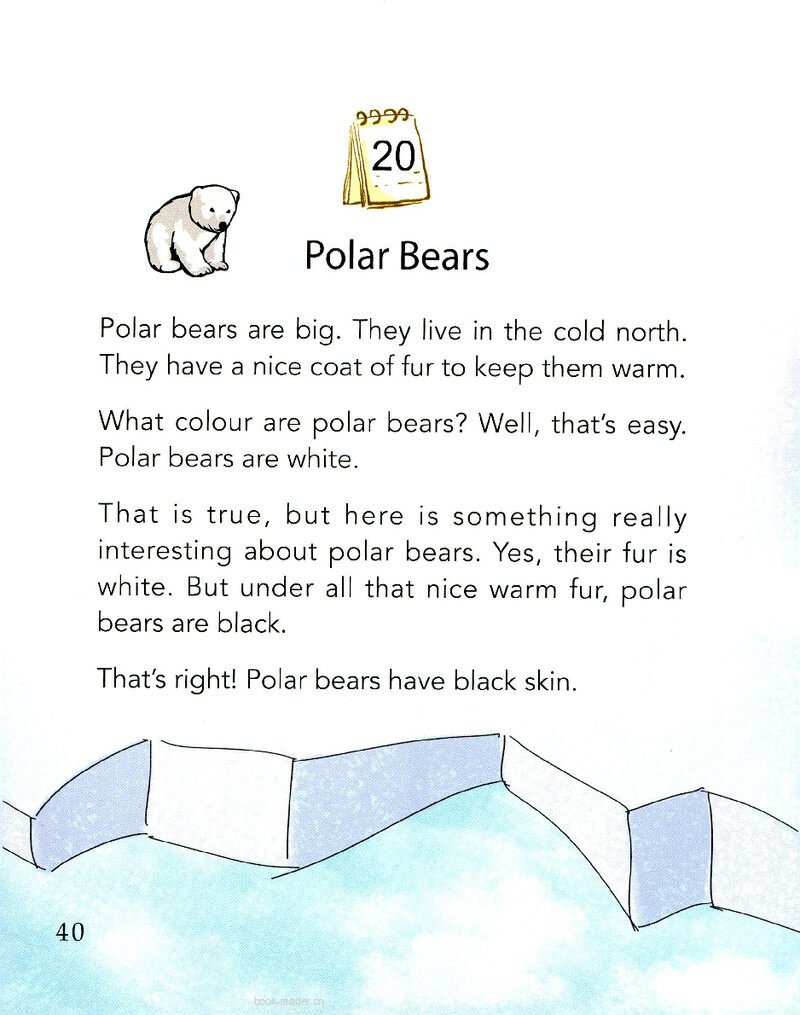 Polar Bears绘本故事第2页