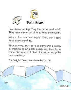 Polar Bears绘本故事第2页