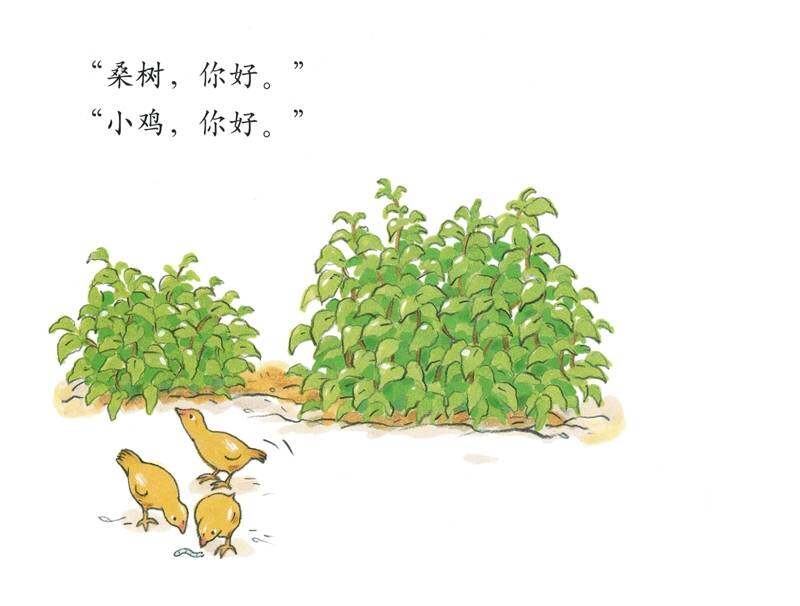小鸡小鸡长大了绘本故事第4页