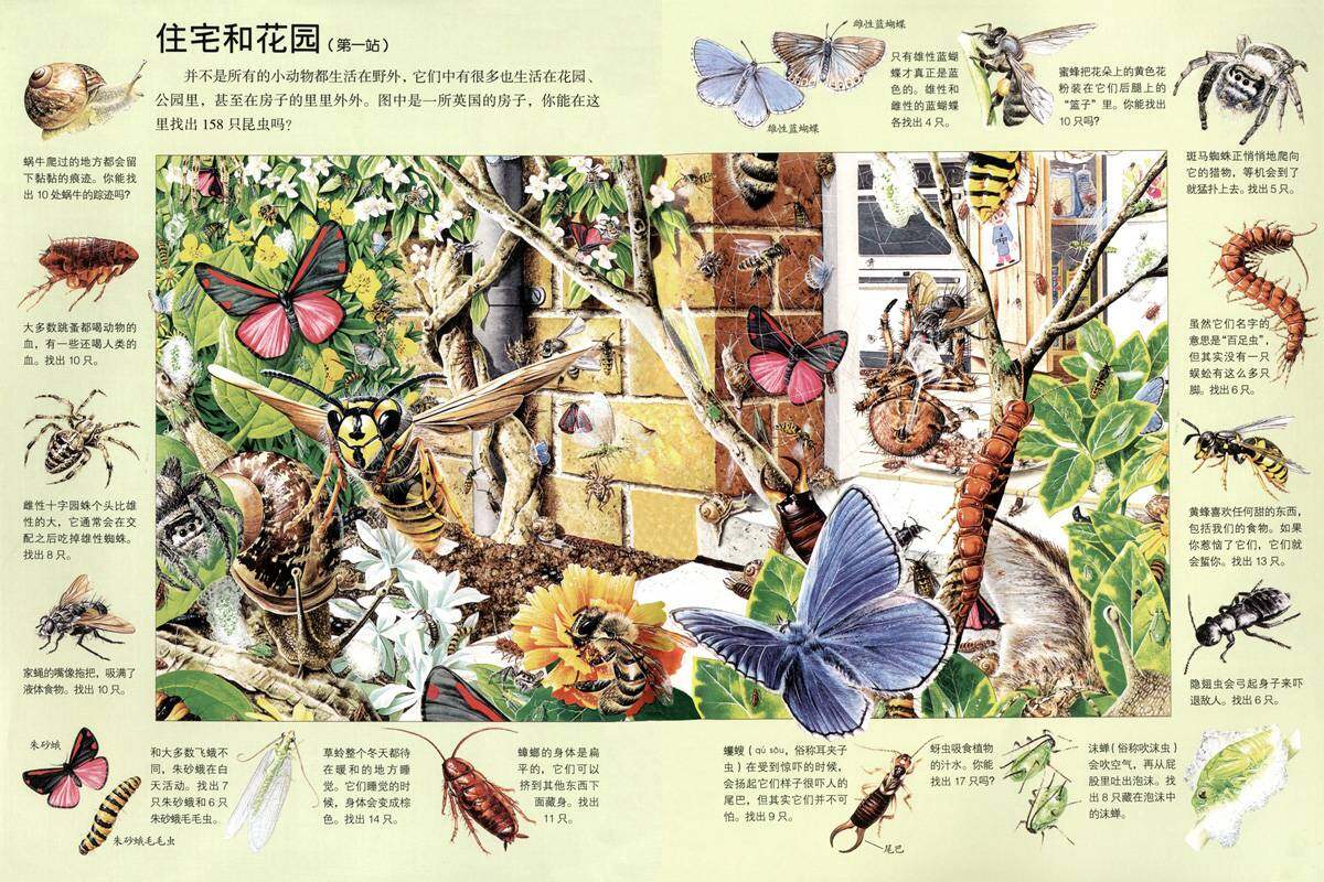 搜索微小的草丛居民绘本故事第3页