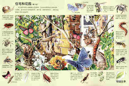 搜索微小的草丛居民绘本故事第3页
