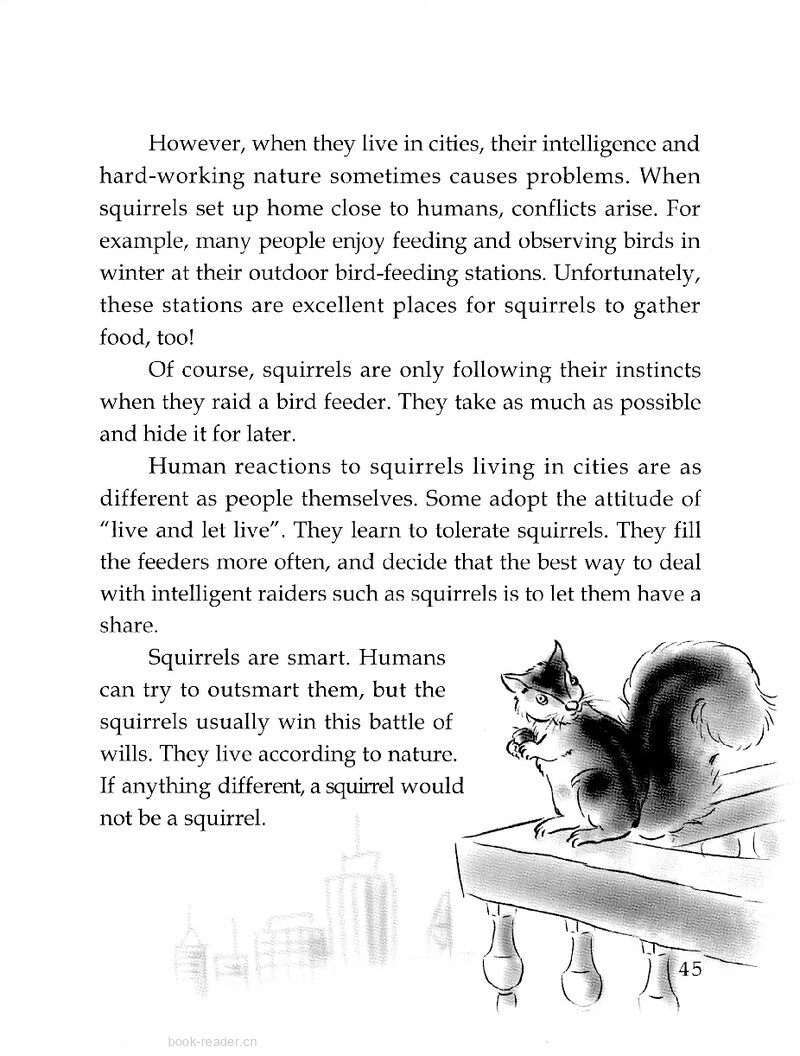 Squirrels: City Dwellers绘本故事第3页