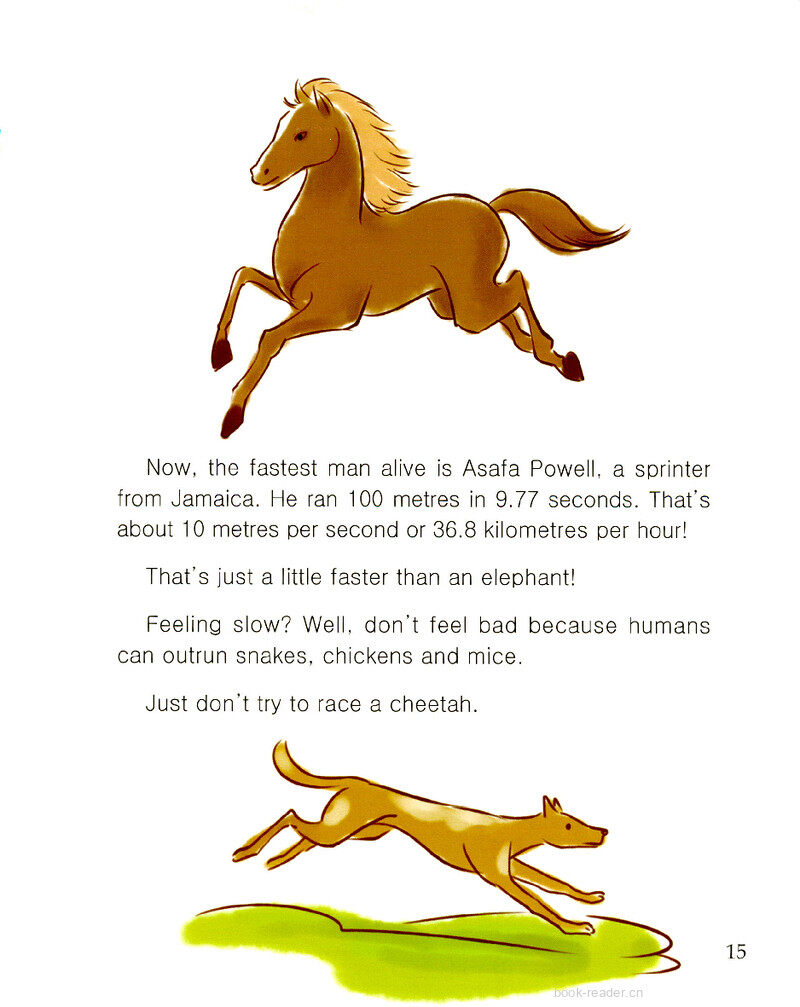 How Fast Are You?绘本故事第3页