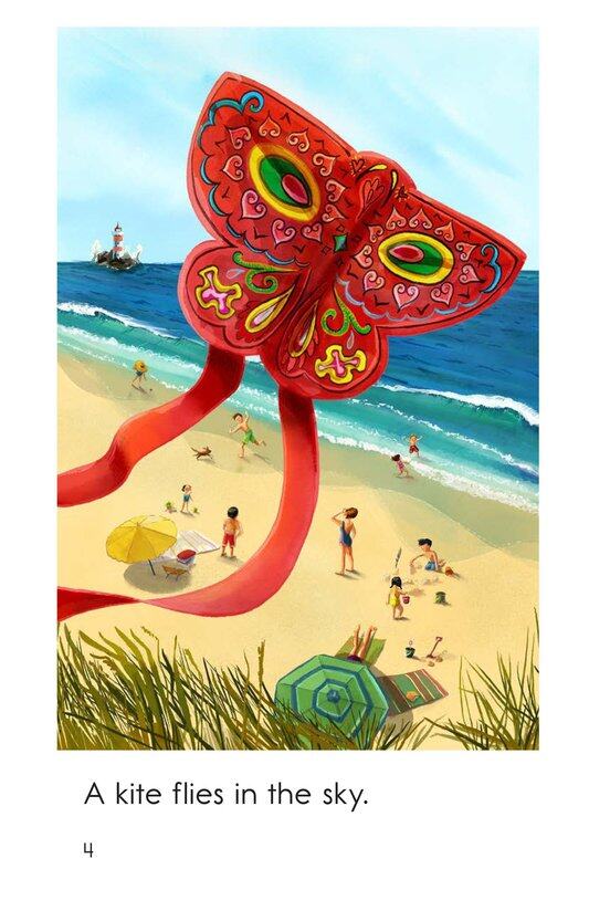 What Flies in the Sky绘本故事第4页