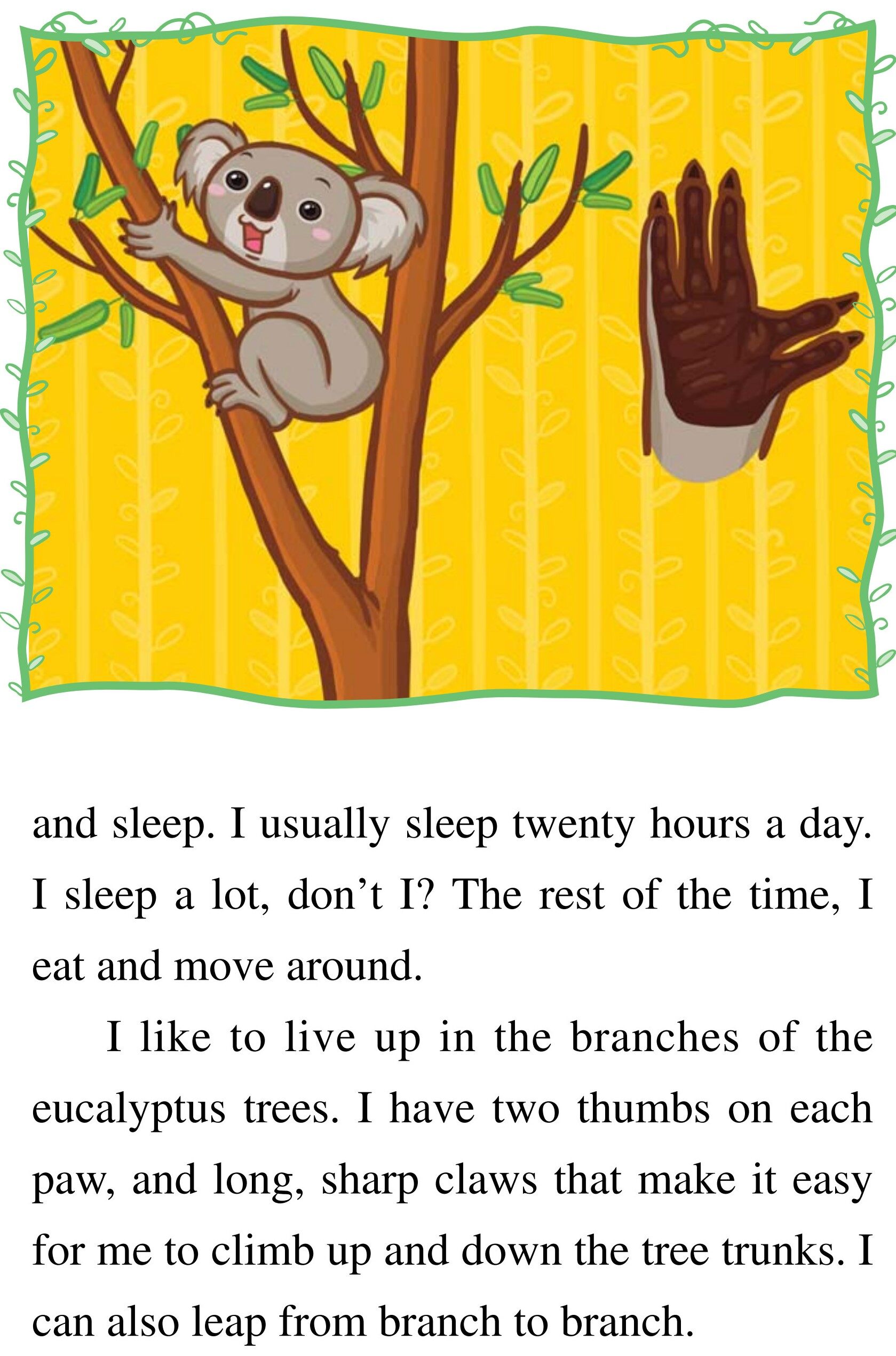 Baby Koala绘本故事第4页