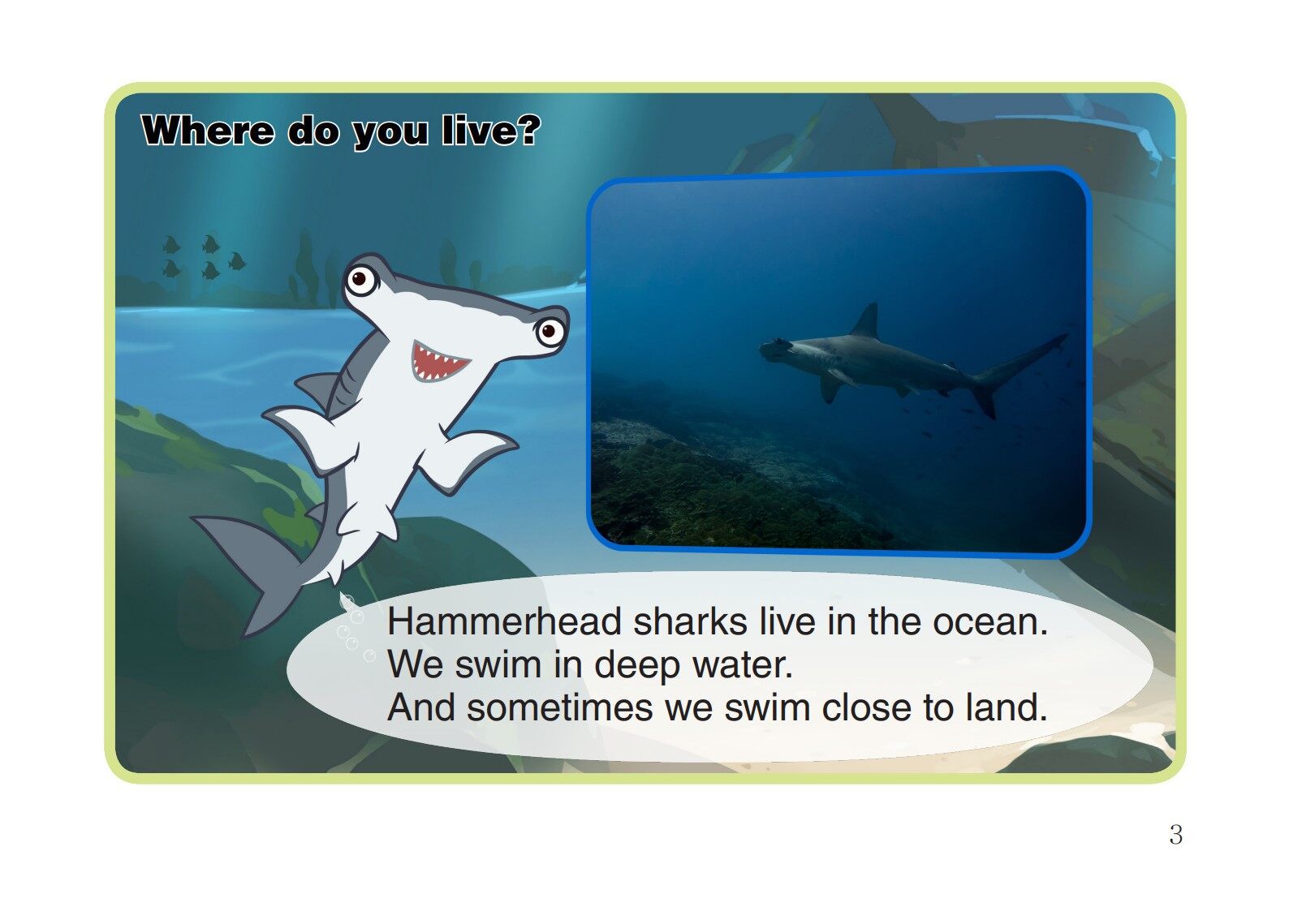 Hammerhead Shark绘本故事第4页