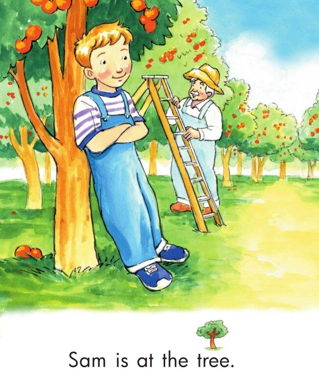 Tam and Sam Look Around绘本故事第3页