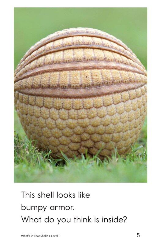 What's In That Shell绘本故事第5页