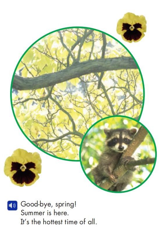 Seasons Change绘本故事第5页