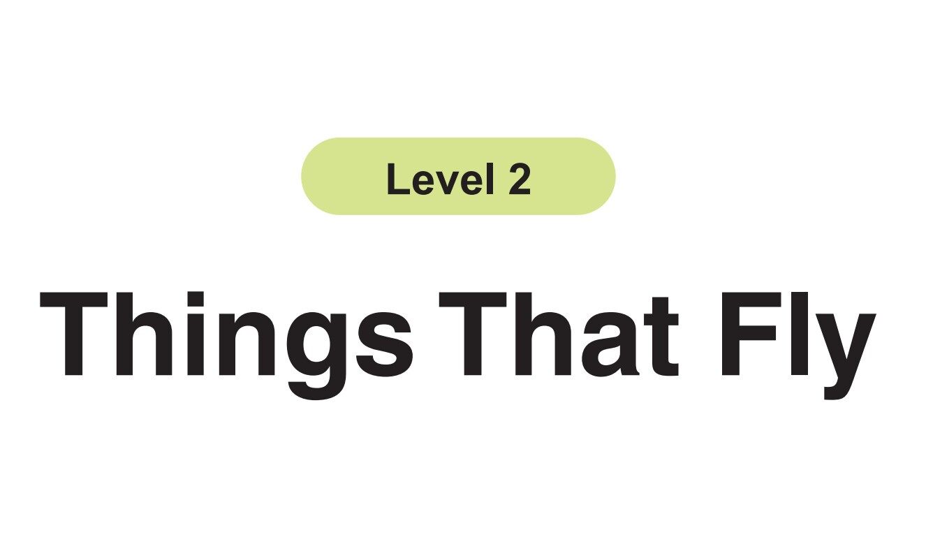 Things That Fly绘本故事第2页