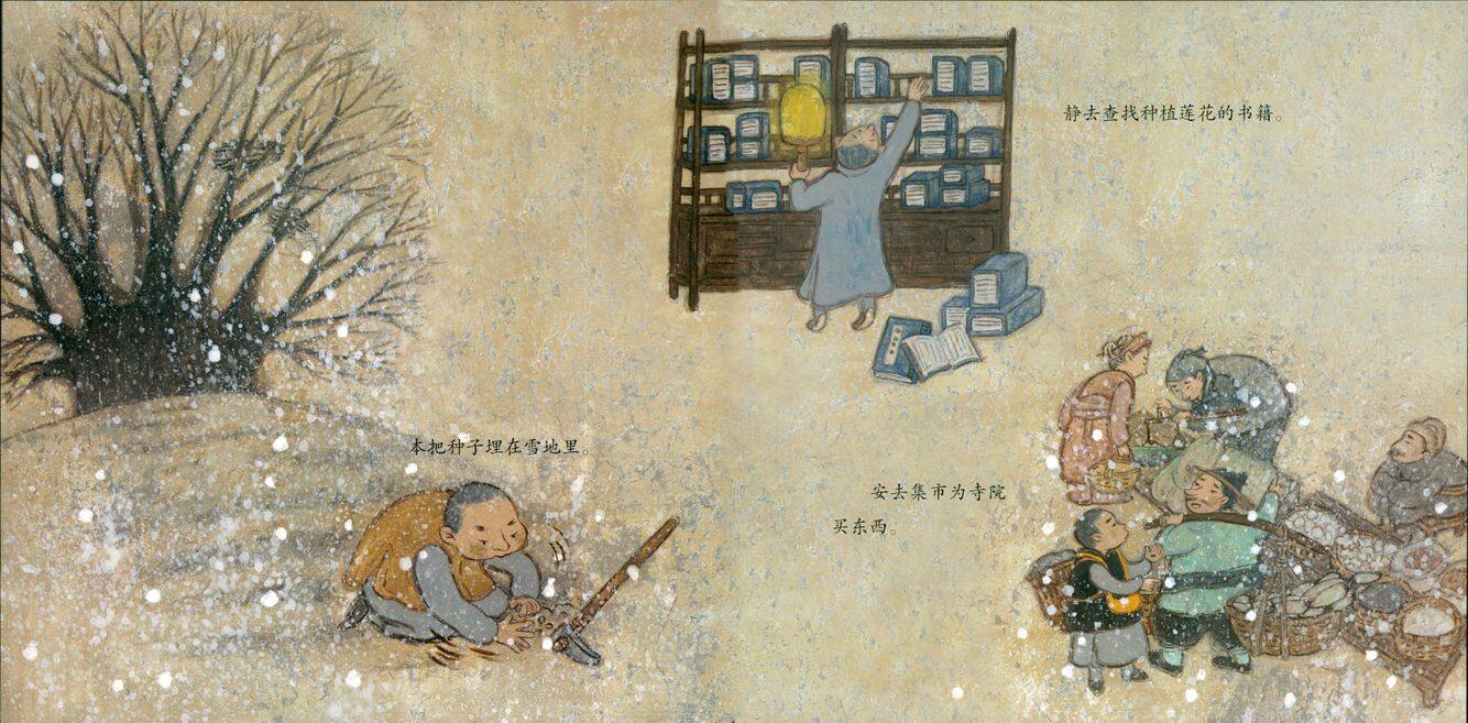 安的种子绘本故事第5页