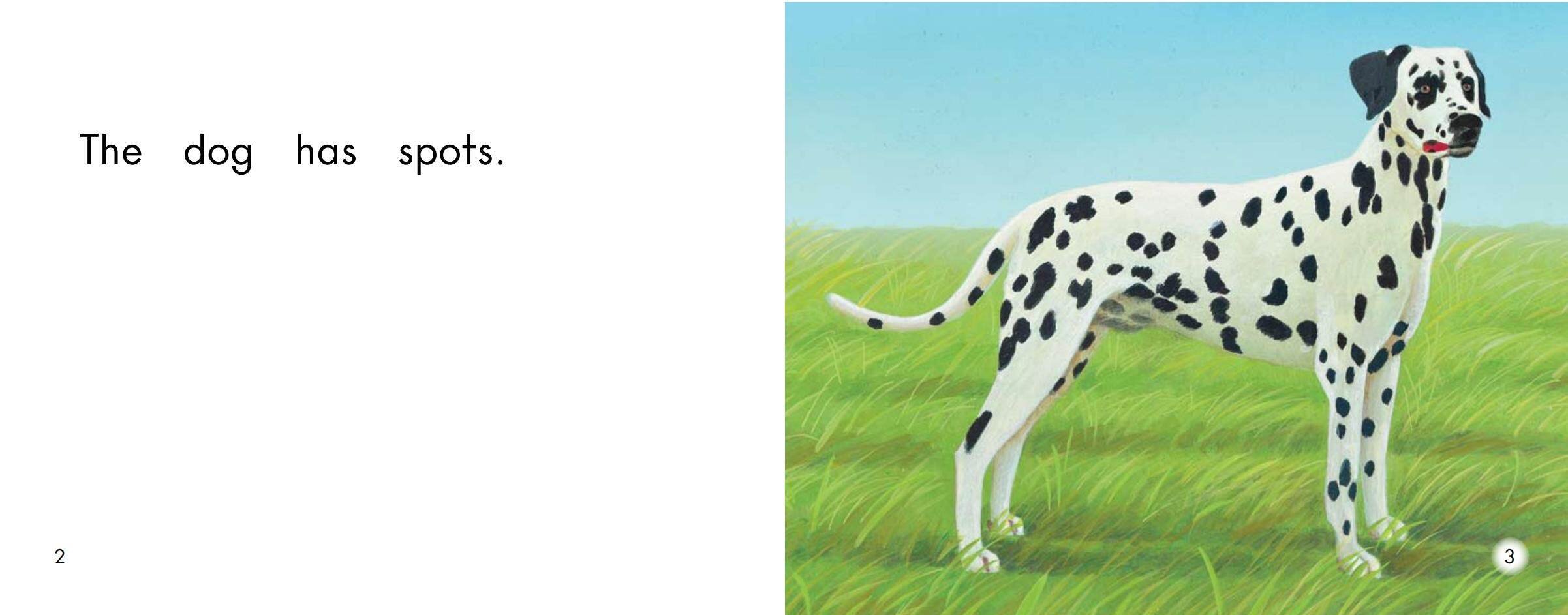 Spots绘本故事第3页