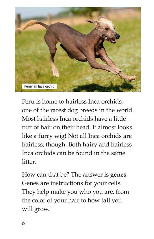 Where's Your Hair绘本故事第5页