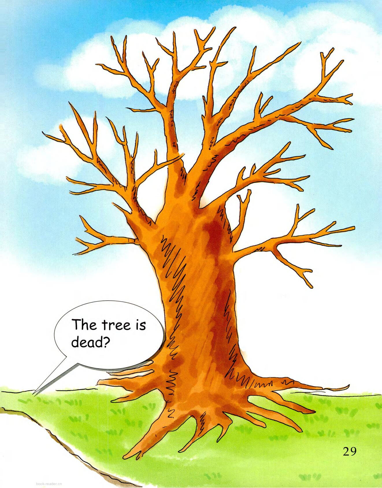 The Tree in the Backyard-1绘本故事第3页