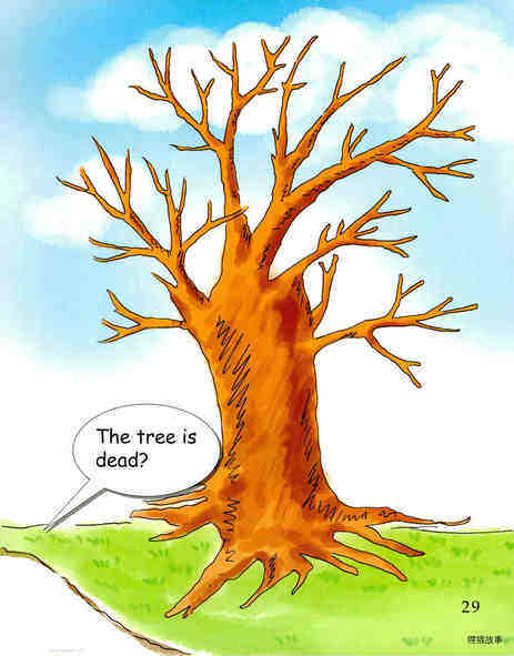 The Tree in the Backyard-1绘本故事第3页
