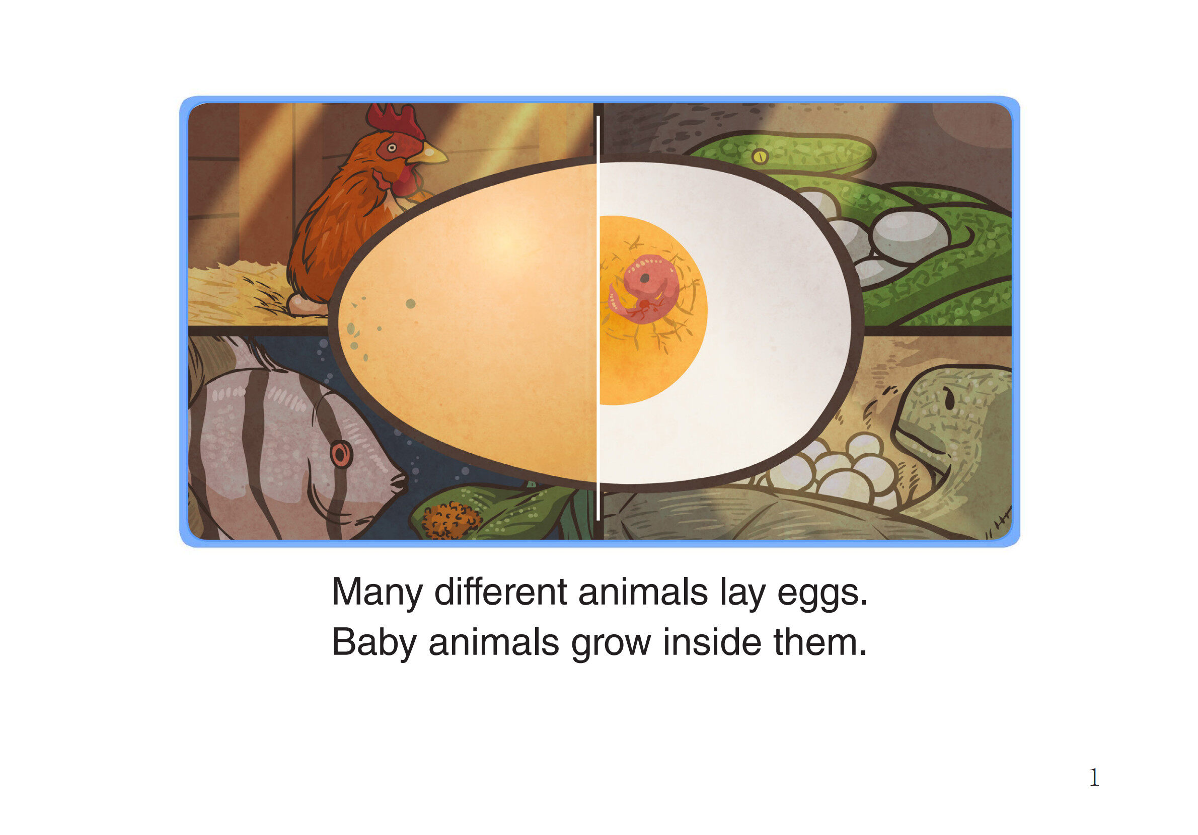 Eggs绘本故事第2页