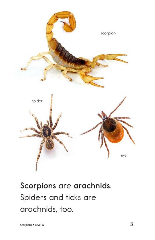 Scorpions绘本故事第3页
