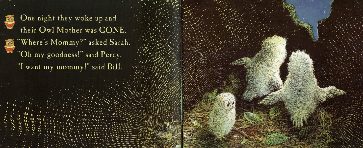 (43周)Owl Babies 绘本故事第4页