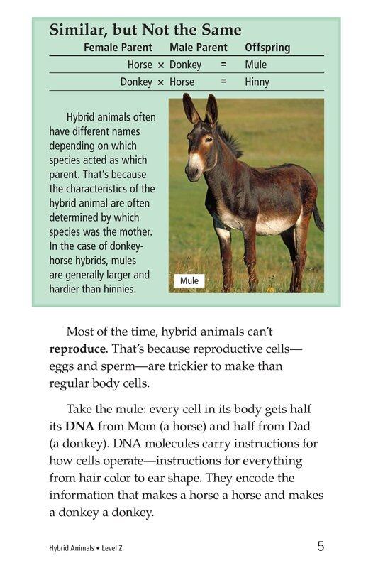 Hybrid Animals绘本故事第4页
