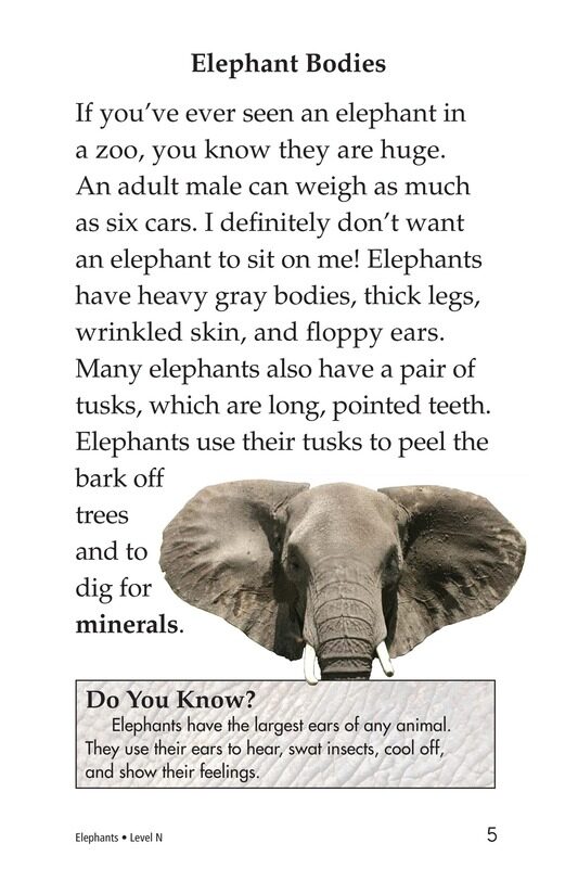 Elephants绘本故事第4页