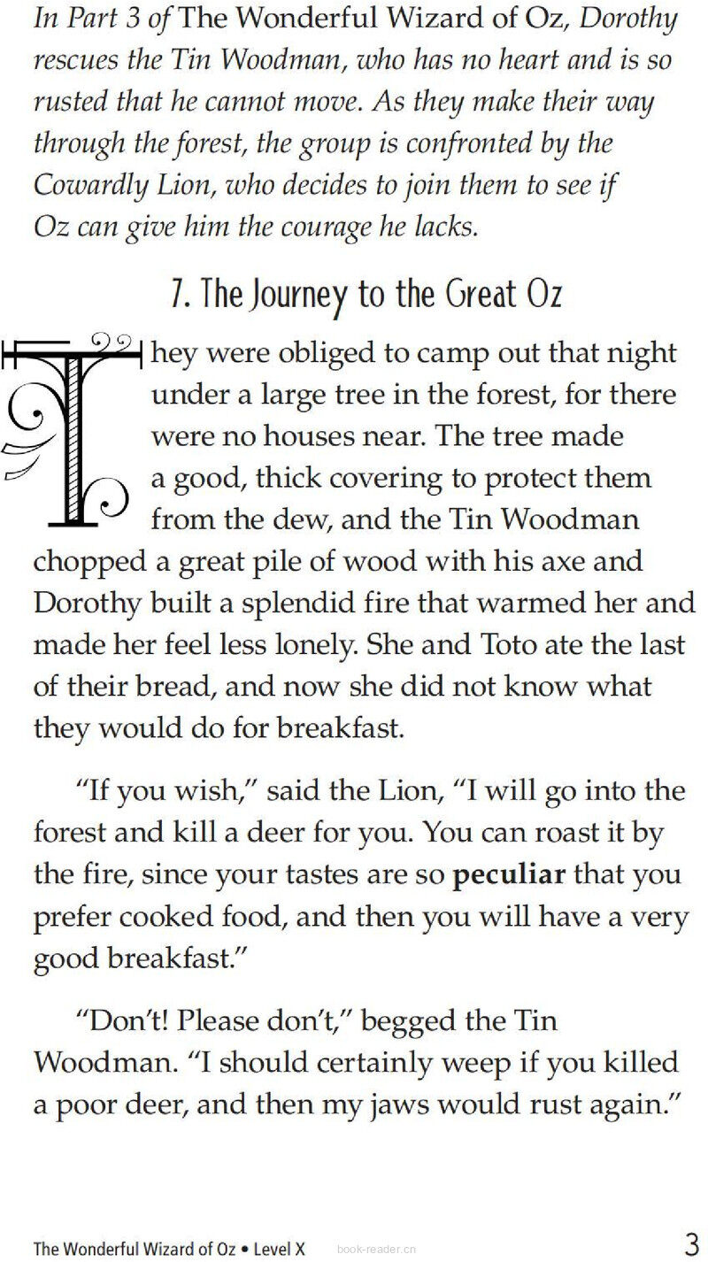 The Wonderful Wizard of Oz (Part 4)绘本故事第4页