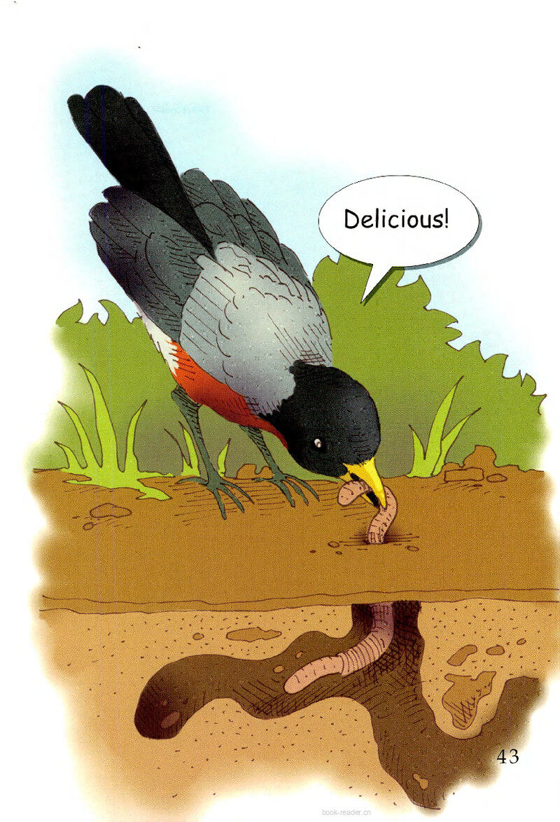 Listening for Food绘本故事第3页