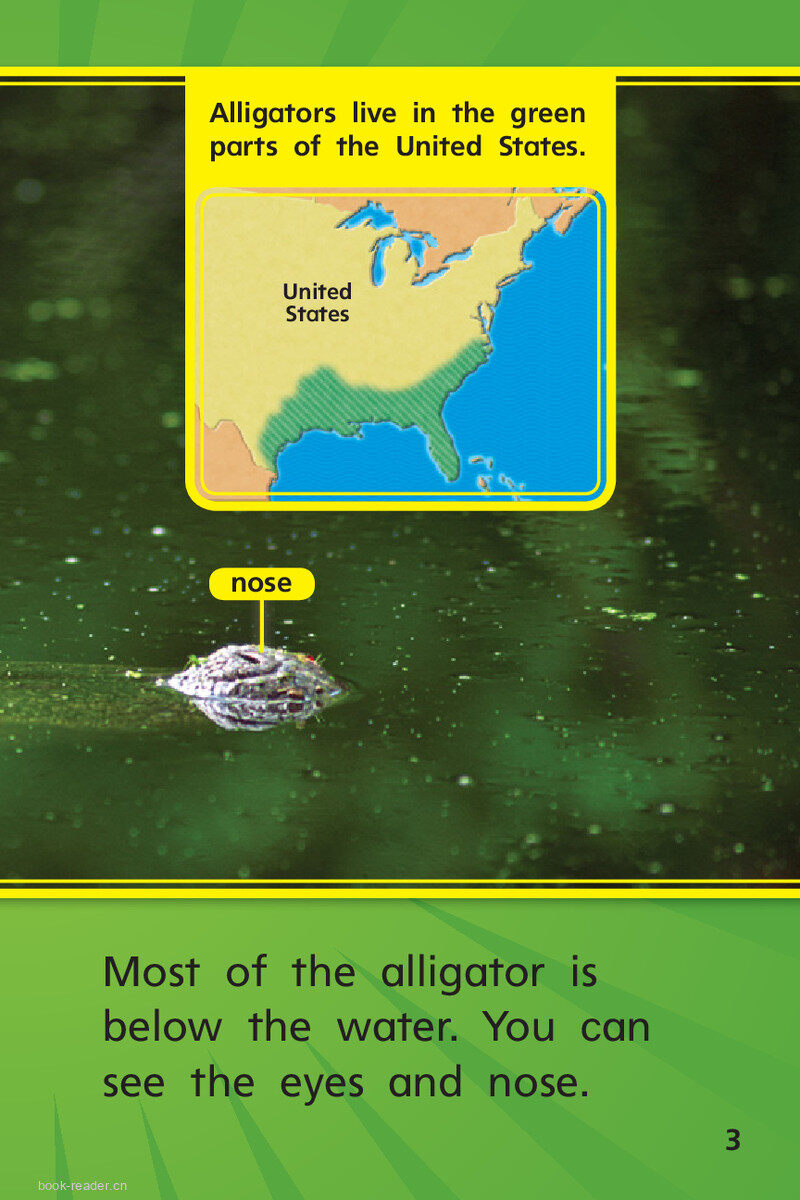 G1 ELL U4W3 Go,Gator!绘本故事第5页