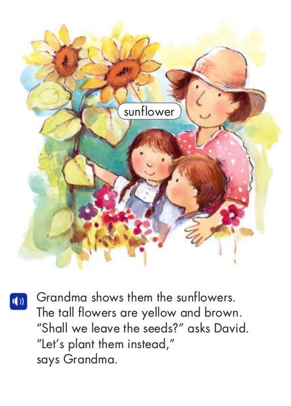 The Sunflower Questions绘本故事第5页